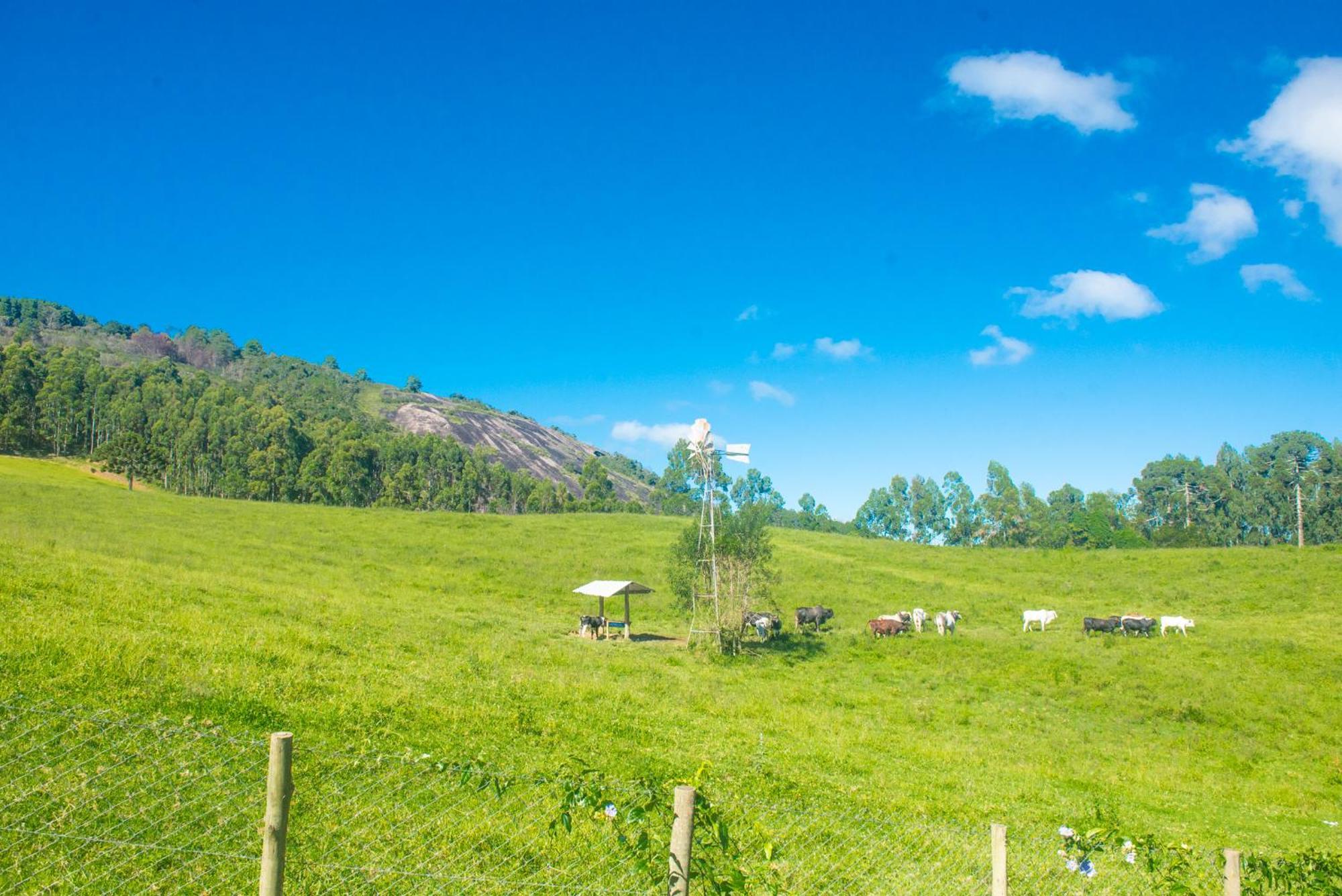 Pousada Alpes Da Mantiqueira 몬테베르데 외부 사진